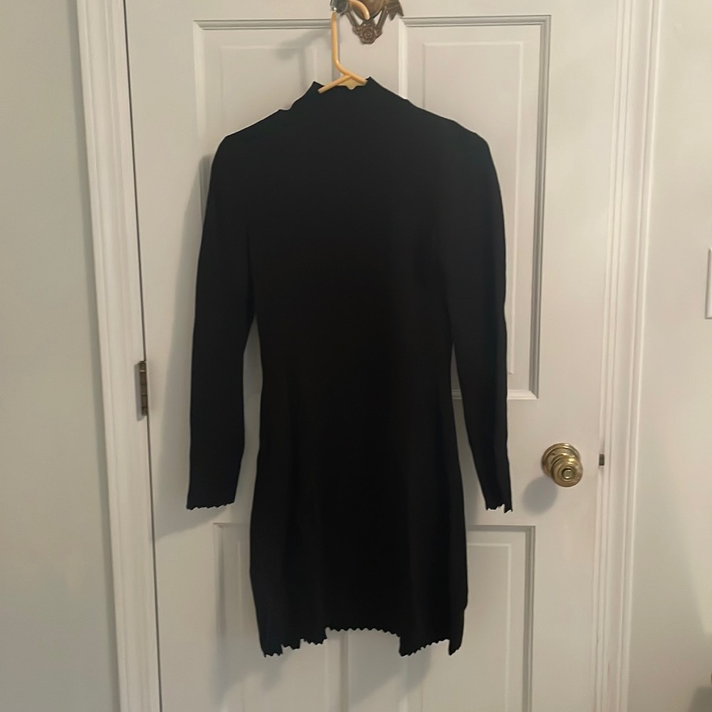 Zara sweater dress